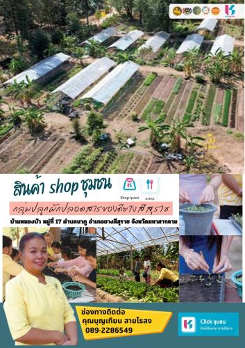 🎉🎉เที่ยวบ้านฉัน ผลักดันรายได้สู่ชุมชน ผ่านแอปพลิเคชั่น “Click ชุมชน” พร้อมฟังก์ชั่นมากมาย และยังสามารถเก็บคูปอง ส่วนลด ติดตามข่าวสาร กิจกรรมของกรมการพัฒนาชุมชนได้ในที่เดียว